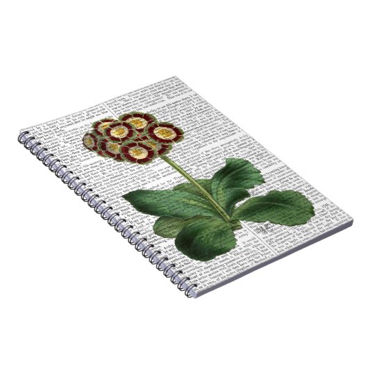 Primula Auricula Red Notitieboek (Rechterzijde)