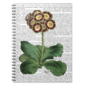 Primula Auricula Red Notitieboek (Voorkant)