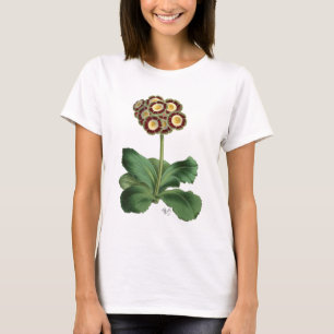Primula Auricula Red T-shirt