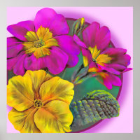 Primula botanische poster afdrukken