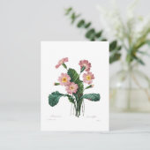 Primula Briefkaart (Staand voorkant)