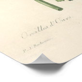 Primula Canvas afdrukken Poster (Hoek)