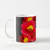 Primula in lente koffiemok (Links)