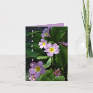 Primula Lente Bloemen 2 Sympathie Dank u NoteC Bedankkaart