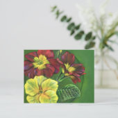 Primula primroses spring briefkaart (Staand voorkant)