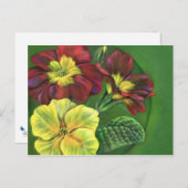 Primula primroses spring briefkaart (Voorkant / Achterkant)