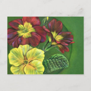 Primula primroses spring briefkaart