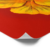 Primula red yellow fine art door Sarah Trett Poster (Hoek)