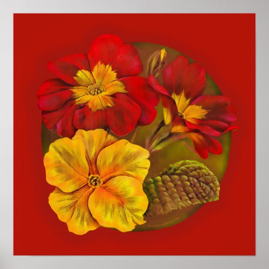 Primula red yellow fine art door Sarah Trett Poster (Voorkant)