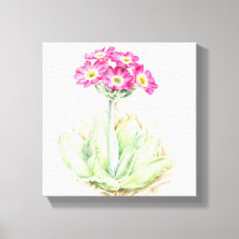Primula roze canvas fine art wrap print