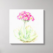 Primula roze canvas fine art wrap print (Voorkant)