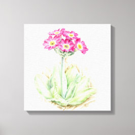 Primula roze canvas fine art wrap print