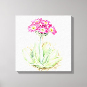 Primula roze canvas fine art wrap print