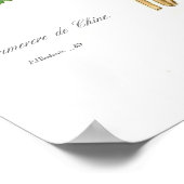 Primula sinensis poster (Hoek)