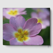 Primula Spring Flowers 1 gepersonaliseerd Memorial Gastenboek (Achterkant)