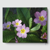 Primula Spring Flowers 2 gepersonaliseerde Memoria Gastenboek (Achterkant)