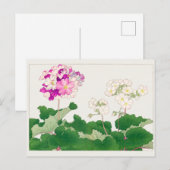 Primula van Tanigami Konan Briefkaart (Voorkant / Achterkant)