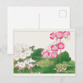 Primula van Tanigami Konan Briefkaart (Voorkant / Achterkant)