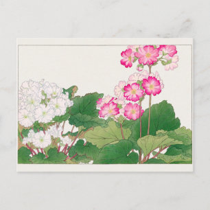 Primula van Tanigami Konan Briefkaart
