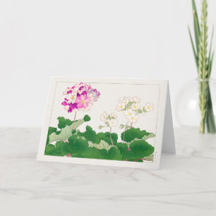 Primula van Tanigami Konan Kaart