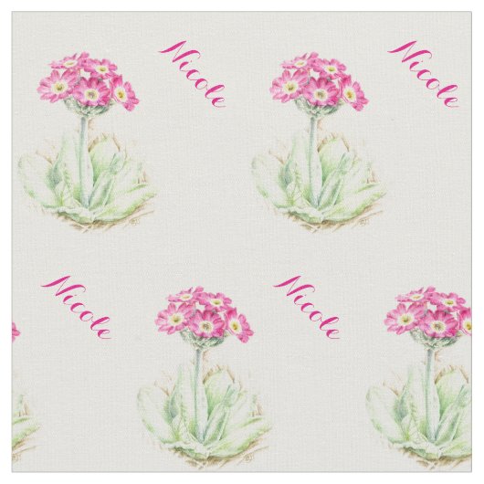 Primula waterverf botanische kunst naam stof (Close Up)
