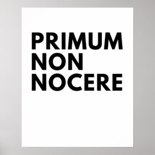 Primum Non Nocere The Nurse's Hippocratische eed Poster