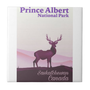 Prince Albert National Park, Saskatchewan, Canada Tegeltje