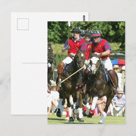 Prince Charles William Harry polo Briefkaart (Voorkant / Achterkant)