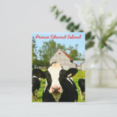 Prince Edward Island Dairy Cow Briefkaart (Staand voorkant)