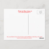 Prince Edward Island Dairy Cow Briefkaart (Achterkant)