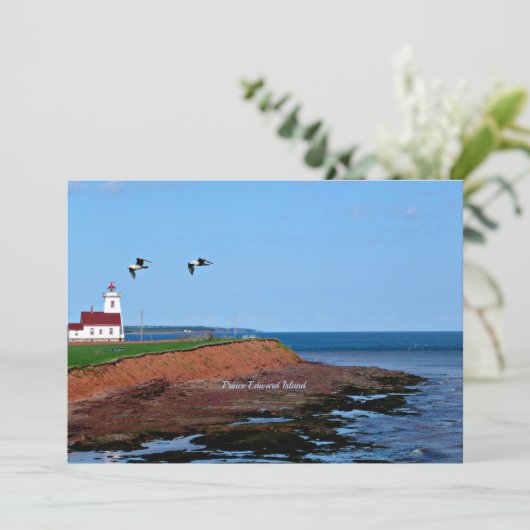 Prince Edward Island-vuurtoren (Staand voorkant)