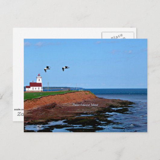 Prince Edward Island-vuurtoren Briefkaart (Voorkant / Achterkant)