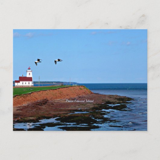 Prince Edward Island-vuurtoren Briefkaart (Voorkant)