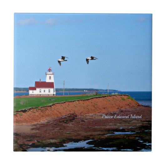 Prince Edward Island-vuurtoren Tegeltje (Voorkant)