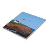 Prince Edward Island-vuurtoren Tegeltje (Zijkant)
