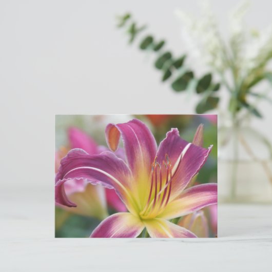 Prince of Paars - Daylily Briefkaart (Staand voorkant)