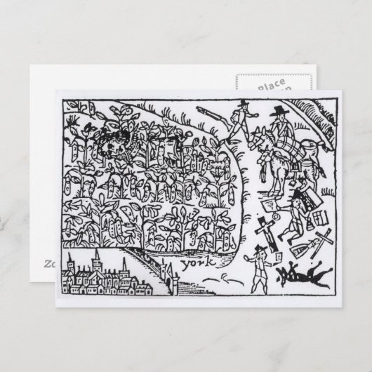 Prince Rupert Hiding in een Bean Briefkaart (Voorkant / Achterkant)