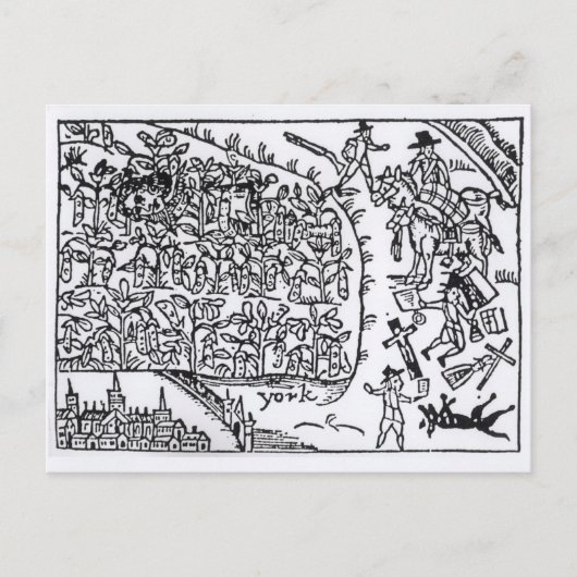 Prince Rupert Hiding in een Bean Briefkaart (Voorkant)