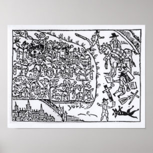 Prince Rupert Hiding in een Bean Poster