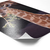 Princess 4X6 Print #2 Foto Afdruk (Hoek)