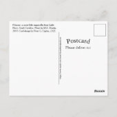 Princess A Sweet Little Southern Ragamuffin Kat Briefkaart (Achterkant)