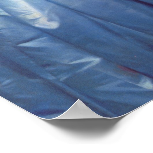 Princess Albert de Broglie Poster (Hoek)