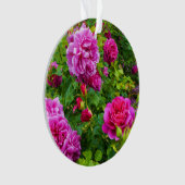 Princess Anne Roos #2-1 Ornament (voorkant)