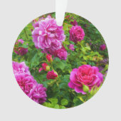 Princess Anne Roos #2-1 Ornament (voorkant)