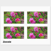 Princess Anne Roos #2 Sticker (Vel)