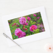 Princess Anne Roos #2 Sticker (Envelop)