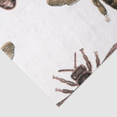 Princess Bee Serie Ontwerp 30 Tissuepapier (Detail)