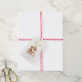 Princess Carriage roze meisje Bedankt baby shower Cadeaulabel (Met Touw)