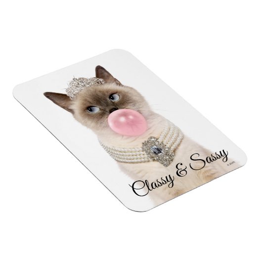 Princess Cat Bgloebel gom Magneet (Rechterzijde)