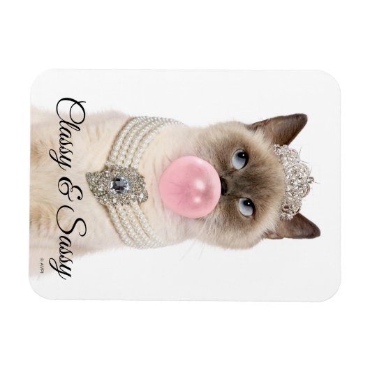 Princess Cat Bgloebel gom Magneet (Horizontaal)